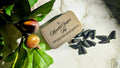 Moonlit Sugar Fig Incense Cone