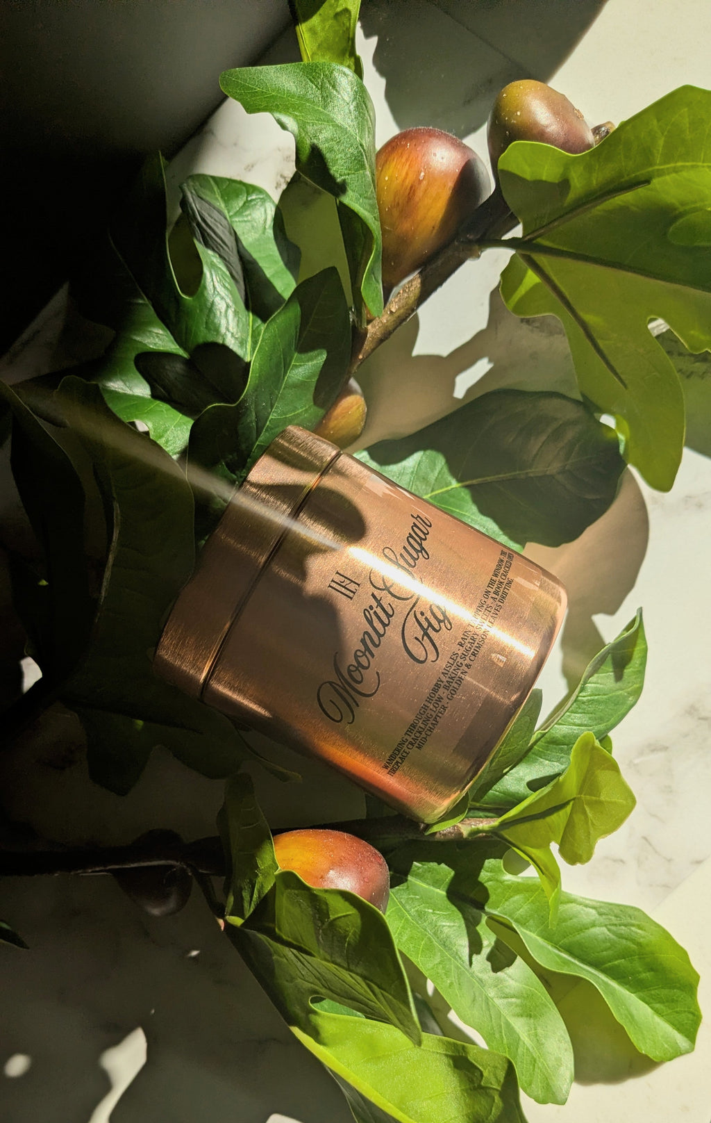 Moonlit Sugar Fig Tin Candle